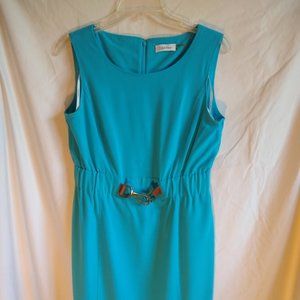 Calvin Klein Sleeveless Shift Dress Size 6